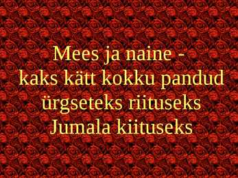 Luuleesitus #17