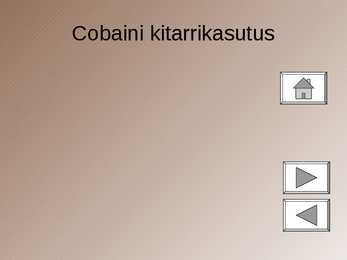 Kurt Cobain #8