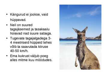 Känguru #2