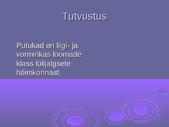 Putukate üldine kirjeldus #3