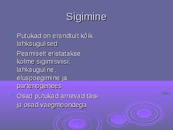 Putukate üldine kirjeldus #6