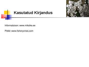 Vetikad Kaugidas esitlus #11