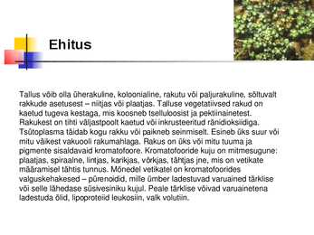Vetikad Kaugidas esitlus #4