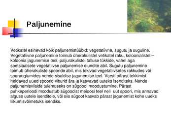 Vetikad Kaugidas esitlus #5