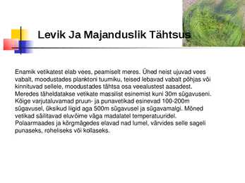 Vetikad Kaugidas esitlus #6