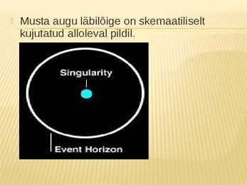 Must auk #8