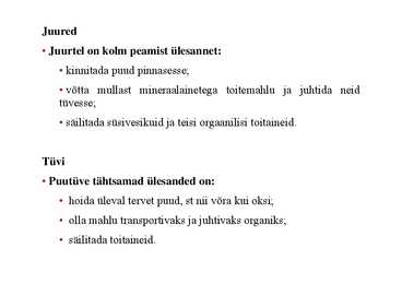 Nimetu #2