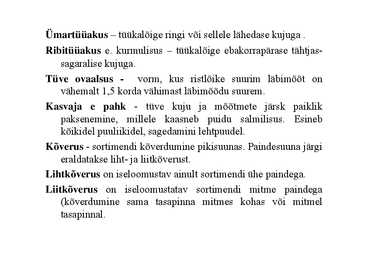 Nimetu #122