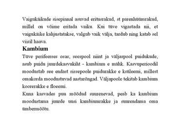 Nimetu #19
