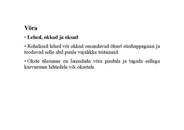 Nimetu #3