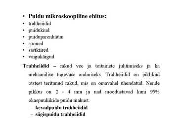 Nimetu #21