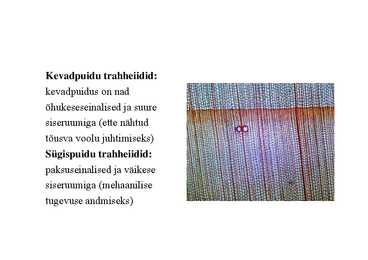 Nimetu #23