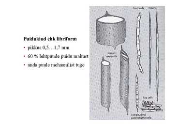 Nimetu #24
