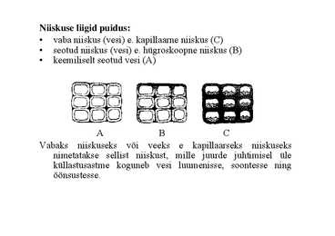 Nimetu #47