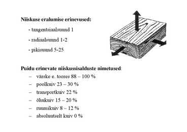 Nimetu #50