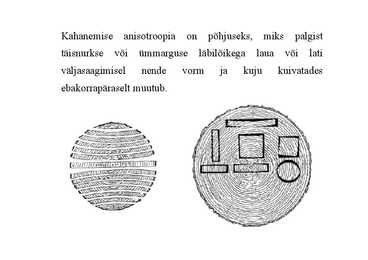 Nimetu #53