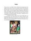 Referaat Printsess Dianast #5