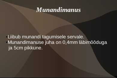 Naiste ja meeste suguelnudkond #11