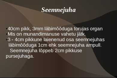Naiste ja meeste suguelnudkond #12