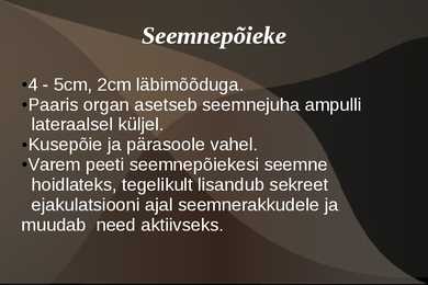 Naiste ja meeste suguelnudkond #13