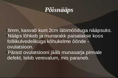 Naiste ja meeste suguelnudkond #4