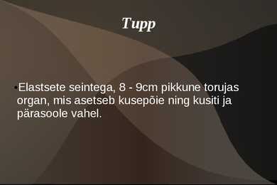 Naiste ja meeste suguelnudkond #7