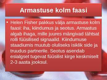Mis on minu jaoks armastus #7