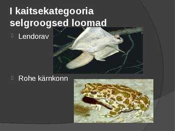 Looduskaitse #11