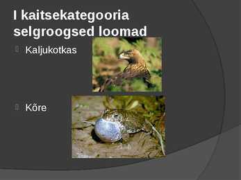 Looduskaitse #12