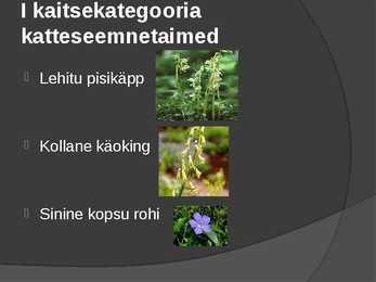 Looduskaitse #6
