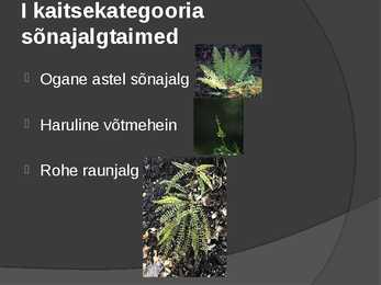 Looduskaitse #7
