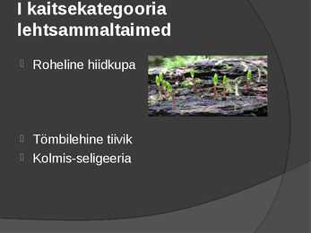 Looduskaitse #8
