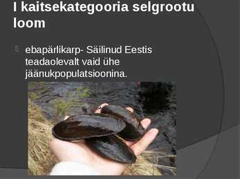 Looduskaitse #9