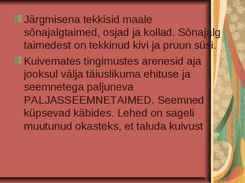 Evolutsioon #13