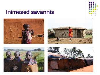 Savann #13
