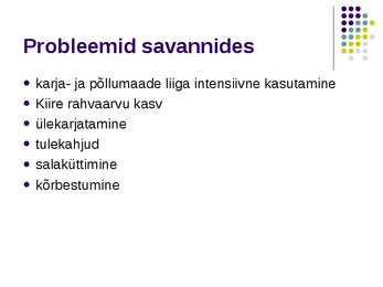 Savann #14