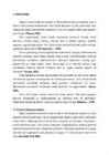Bioloogia referaat migreen #4