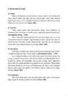 Bioloogia referaat migreen #9