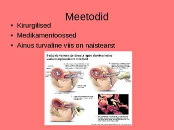 Esitlus abordist #3