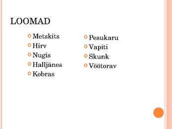 Lehtmetsad #8