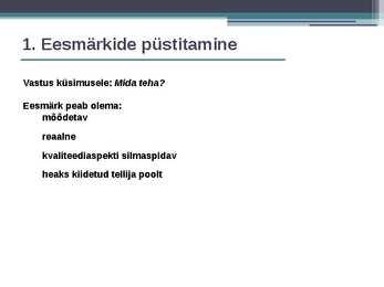 Projektijuhtimne #13