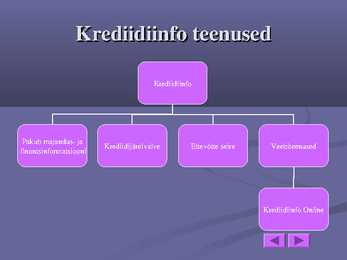 Krediidiinfo #5