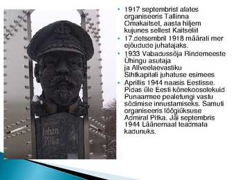 Johan Pitka #4