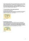 Koonilised projektsioonid #6