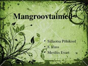 Mangroov-presentatsioon