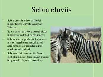 Sebra-presentatsioon #2