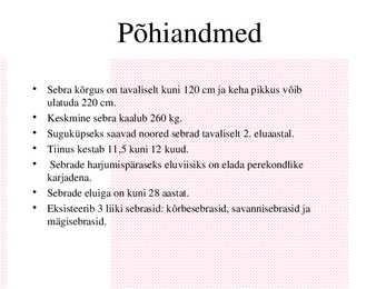 Sebra-presentatsioon #7