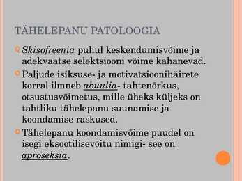 Tähelepanu-presentatsioon #8