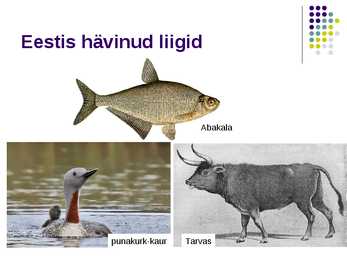 Liikide hävimine #5