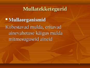 Mullahorisondid ja iseloomustus--pedosfäär- #6